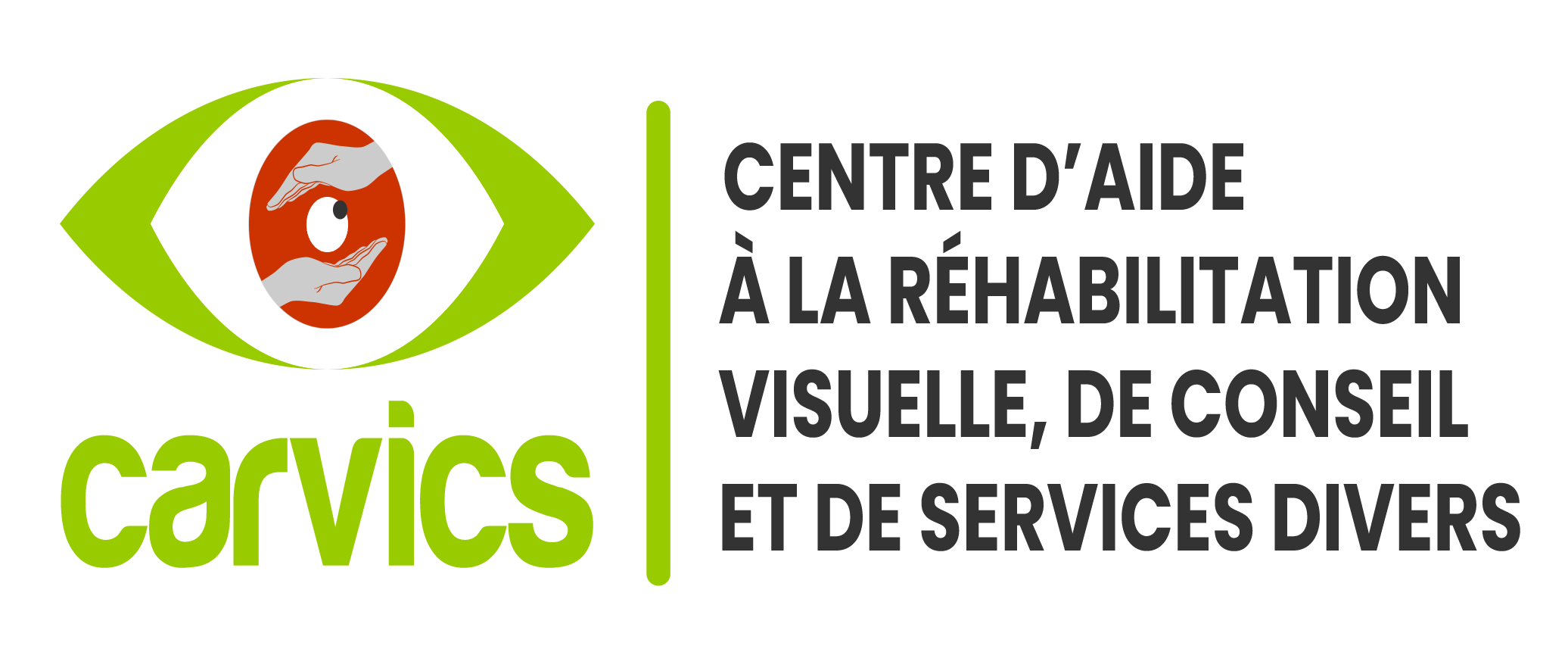 Logo_Carvics copie